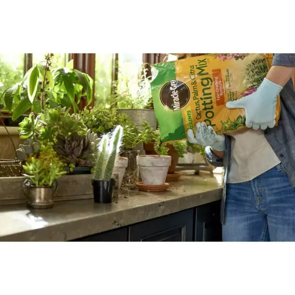 Miracle-Gro Succulent Plant Food and Potting Mix Bundle